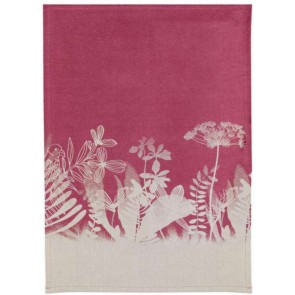 KITCHEN TOWEL WINKLER EVAOS ORCHIDEE 50x70 100% COTTON